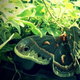 Image for article titled Shooting Challenge: Cellphone Gallery Part 3